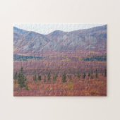 Autumn Colors In Denali, Alaska Photograph Legpuzzel (Horizontaal)