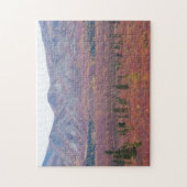 Autumn Colors In Denali, Alaska Photograph Legpuzzel (Verticaal)