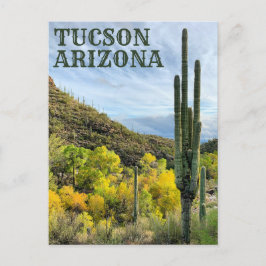 Autumn Colors Saguaro Sabino Canyon Briefkaart
