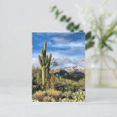 Autumn Colors Saguaro Sabino Canyon Briefkaart (Staand voorkant)