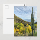 Autumn Colors Saguaro Sabino Canyon Briefkaart (Voorkant / Achterkant)