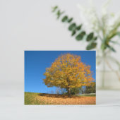 Autumn Colors, West Virginia Briefkaart (Staand voorkant)