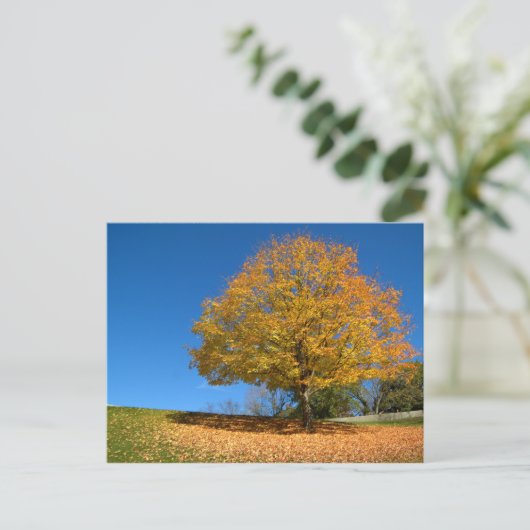 Autumn Colors, West Virginia Briefkaart (Staand voorkant)