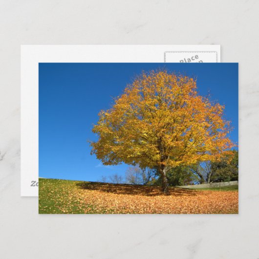 Autumn Colors, West Virginia Briefkaart (Voorkant / Achterkant)