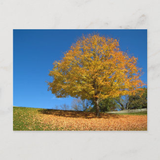 Autumn Colors, West Virginia Briefkaart