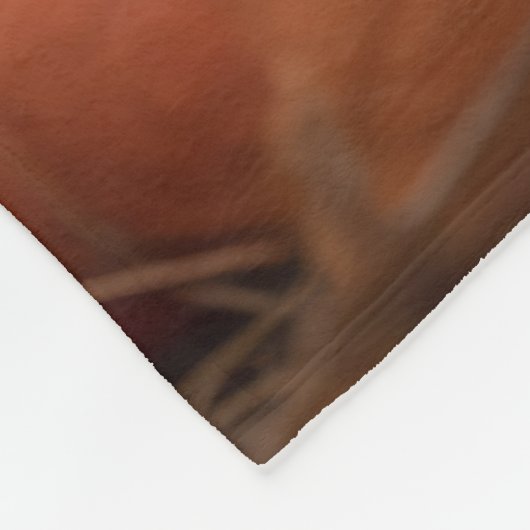 Autumn Corgi Fleece Deken (Hoek)