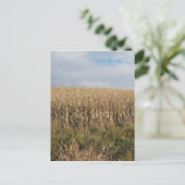 Autumn Corn Harvest Briefkaart (Staand voorkant)