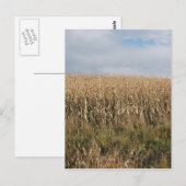 Autumn Corn Harvest Briefkaart (Voorkant / Achterkant)