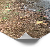 Autumn Creek Foto Poster (Hoek)