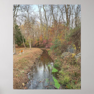 Autumn Creek Foto Poster