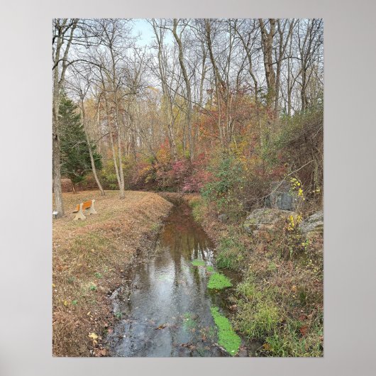 Autumn Creek Foto Poster (Voorkant)