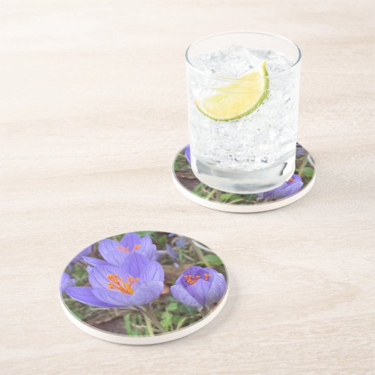 Autumn Crocus Zandsteen Onderzetter (Zijkant)