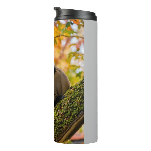 Autumn Curiosity: Monkeys at the Zoo in Fall Thermosbeker (Geroteerd rechts)