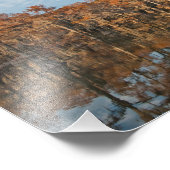 Autumn Cypress Trees bij Caddo Lake print Foto Afdruk (Hoek)