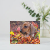 Autumn Dachshund Puppy Briefkaart (Staand voorkant)
