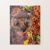 Autumn Dachshund Puppy Legpuzzel (Verticaal)