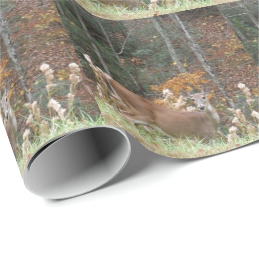 Autumn Deer in het Arrowadmeer GA Cadeaupapier (Rol Hoek)