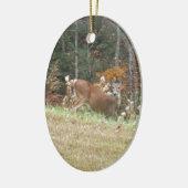 Autumn Deer in het Arrowadmeer GA Keramisch Ornament (Links)