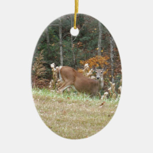 Autumn Deer in het Arrowadmeer GA Keramisch Ornament