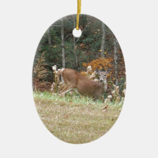 Autumn Deer in het Arrowadmeer GA Keramisch Ornament (Voorkant)