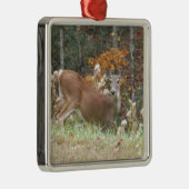 Autumn Deer in het Arrowadmeer GA Metalen Ornament (Rechts)