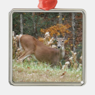 Autumn Deer in het Arrowadmeer GA Metalen Ornament