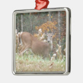 Autumn Deer in het Arrowadmeer GA Metalen Ornament (Links)