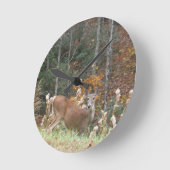 Autumn Deer in het Arrowadmeer GA Ronde Klok (Hoek)