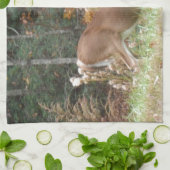 Autumn Deer in het Arrowadmeer GA Theedoek (Gevouwen)