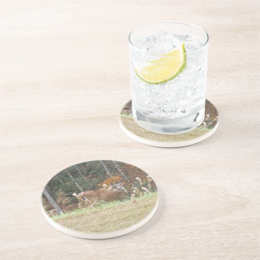 Autumn Deer in het Arrowadmeer GA Zandsteen Onderzetter (Zijkant)