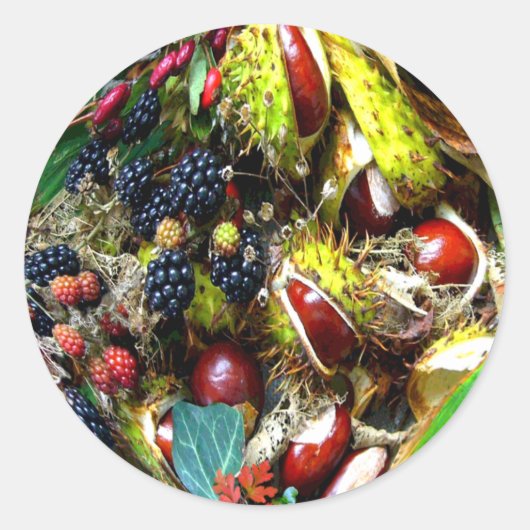 AUTUMN DELIGHTS ~ Envelope Sealers/Stickers Ronde Sticker (Voorkant)