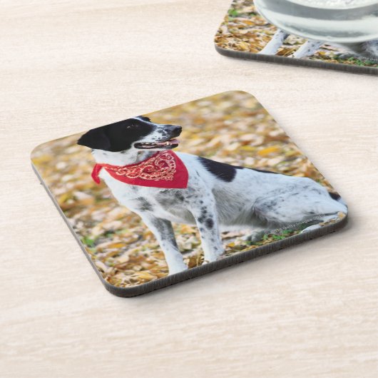 Autumn Dog Bier Onderzetter (Linkerzijde)