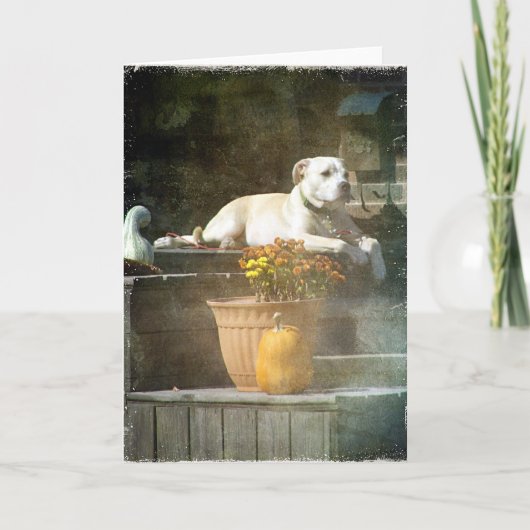 Autumn Dog Kaart (Voorkant)
