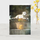 Autumn Dog Kaart (Gele Bloem)