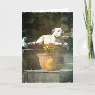 Autumn Dog Kaart