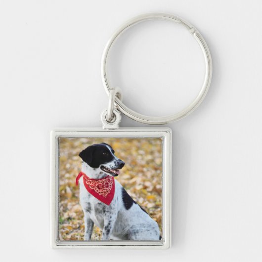 Autumn Dog Sleutelhanger (Voorkant)