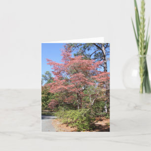 AUTUMN DOGWOOD KAART