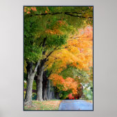 Autumn Drive Poster (Voorkant)
