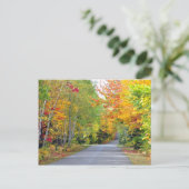 Autumn Fall Colors Road Quebec Canada Briefkaart (Staand voorkant)