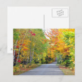 Autumn Fall Colors Road Quebec Canada Briefkaart (Voorkant / Achterkant)