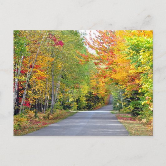 Autumn Fall Colors Road Quebec Canada Briefkaart (Voorkant)