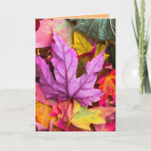 AUTUMN FALL LAVES BIRTHDAY WENSKAART KAART (Voorkant)
