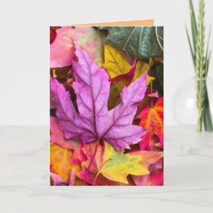 AUTUMN FALL LAVES BIRTHDAY WENSKAART KAART