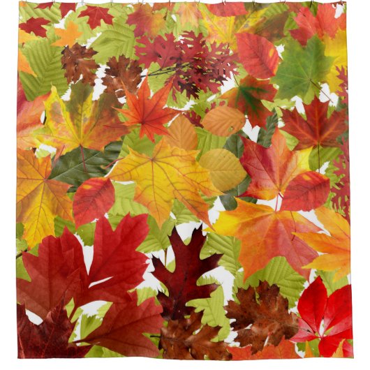 Autumn Fall Leaves Douchegordijn (Voorkant)