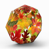 Autumn Fall Leaves Fotoblokken (Links)