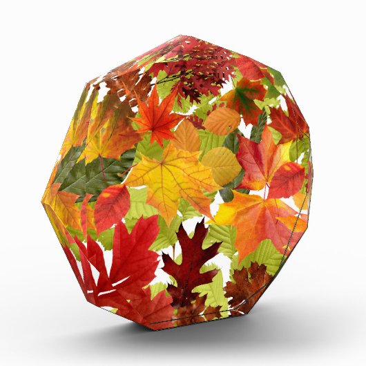 Autumn Fall Leaves Fotoblokken (Links)