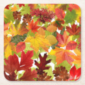 Autumn Fall Leaves Kartonnen Onderzetters (Voorkant)