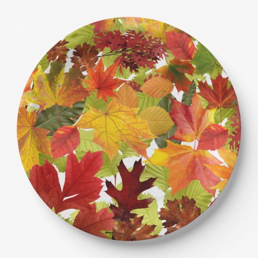 Autumn Fall Leaves Papieren Bordje (Voorkant)