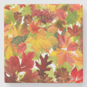 Autumn Fall Leaves Stenen Onderzetter (Voorkant)