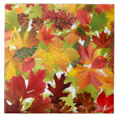 Autumn Fall Leaves Tegeltje (Voorkant)